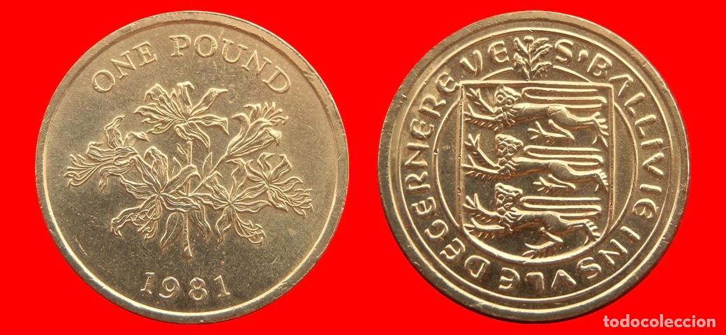 Monedas antiguas de Europa: 1 LIBRA POUND 1981 GUERNESEY-155107