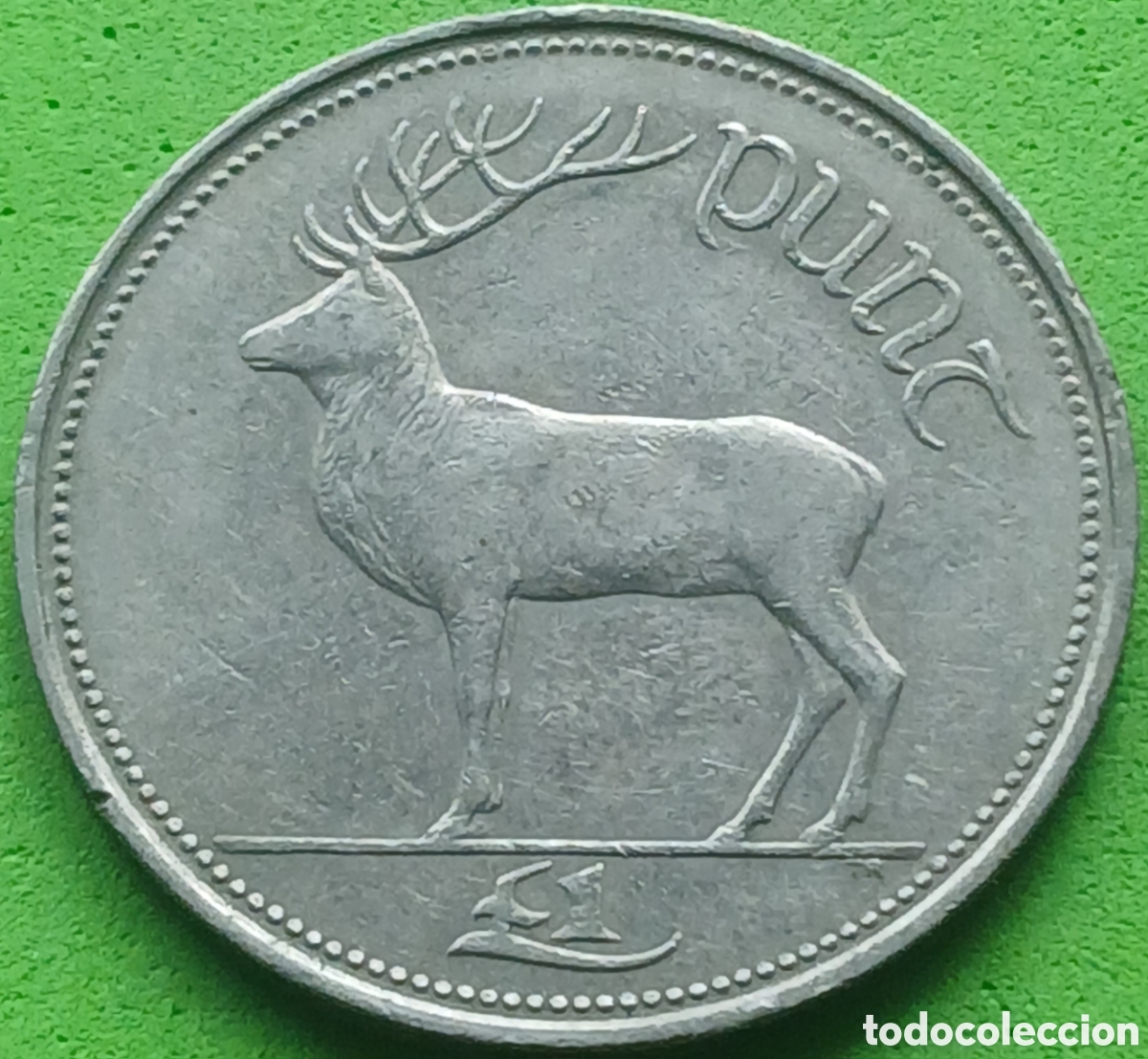 Monedas antiguas de Europa: Irlanda 1 libra 1990 km#27