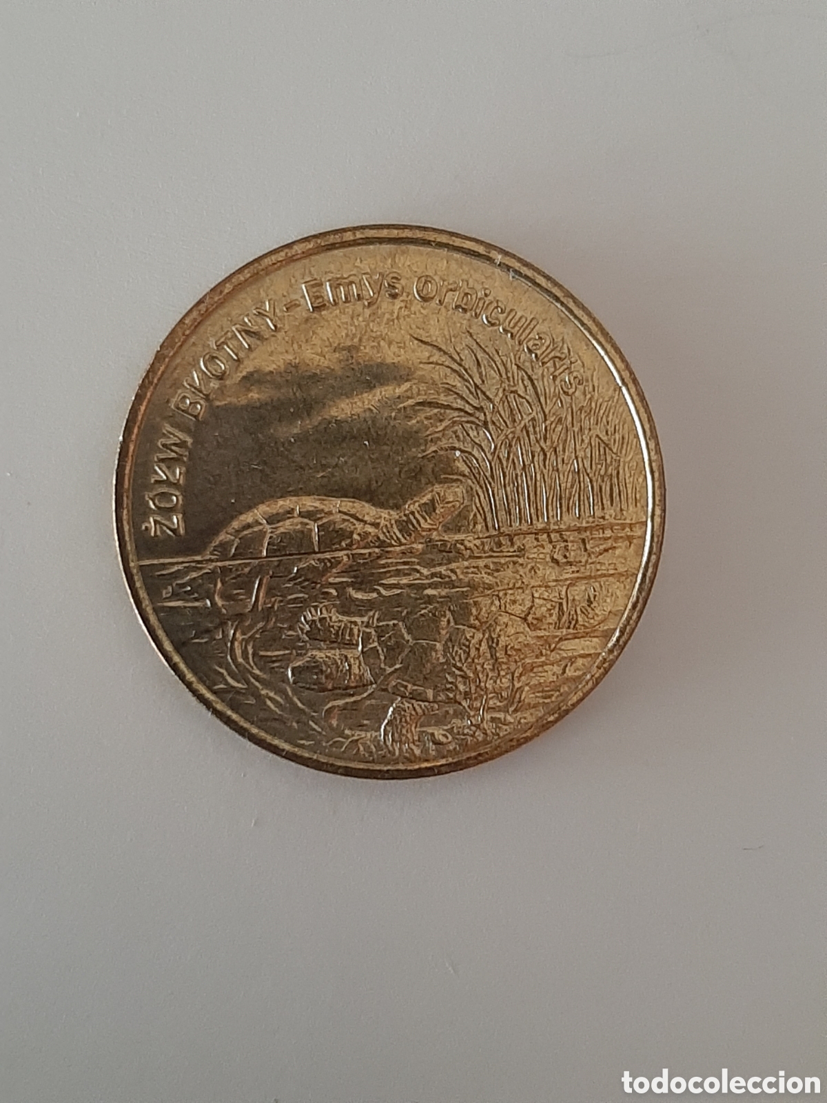Monedas antiguas de Europa: POLONIA 2 ZLOTE 2002 S/C TORTUGA