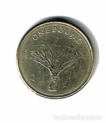 Monedas antiguas de Europa: GIBRALTAR 1 POUND 2014 - ISABEL II - &aacute;rbol del drag&oacute;n - DRAGO -