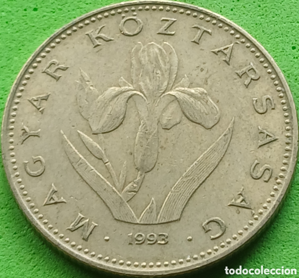 Monedas antiguas de Europa: Hungr&iacute;a 20 forint 1993 km#696