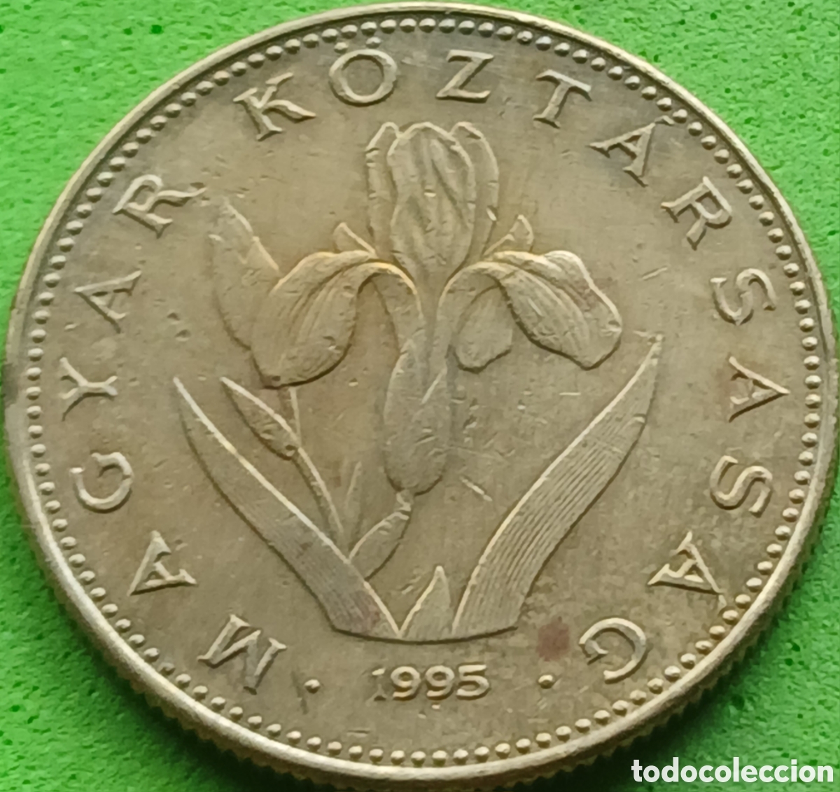 Monedas antiguas de Europa: Hungr&iacute;a 20 forint 1995 km#696