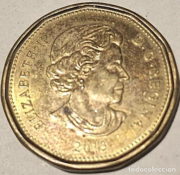 Monedas antiguas de Europa: Canad&aacute;, 1 D&oacute;lar 2013 (Isabel II) KM#1255./ Muy bonita, la de las fotos.