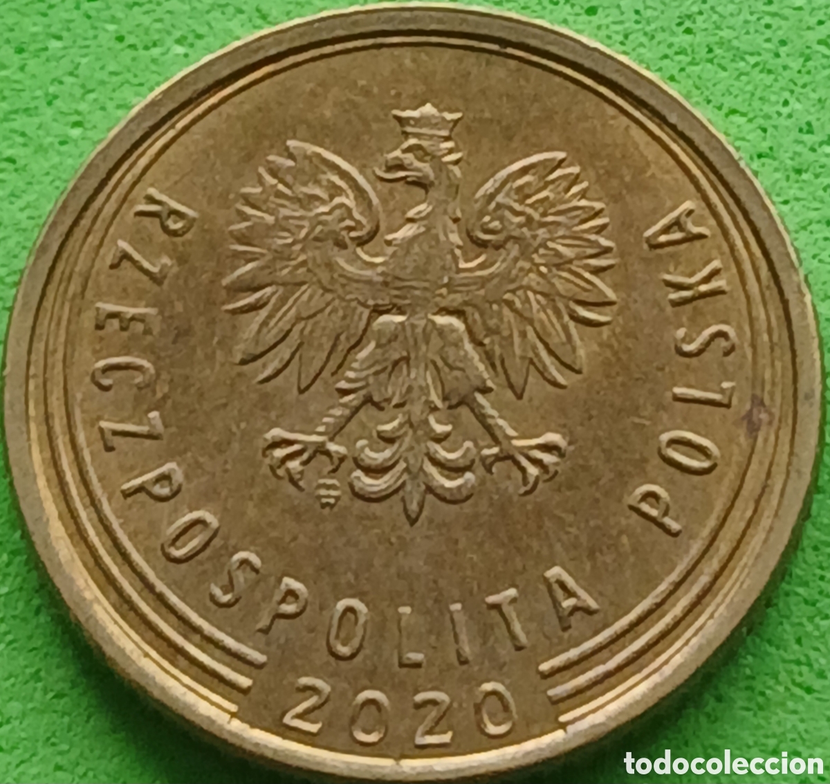 Monedas antiguas de Europa: Polonia 1 grosz 2020 UC#4