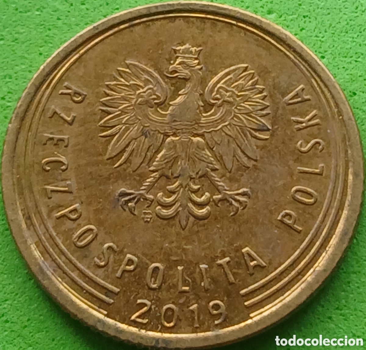 Monedas antiguas de Europa: Polonia 5 groszy 2019 UC#6