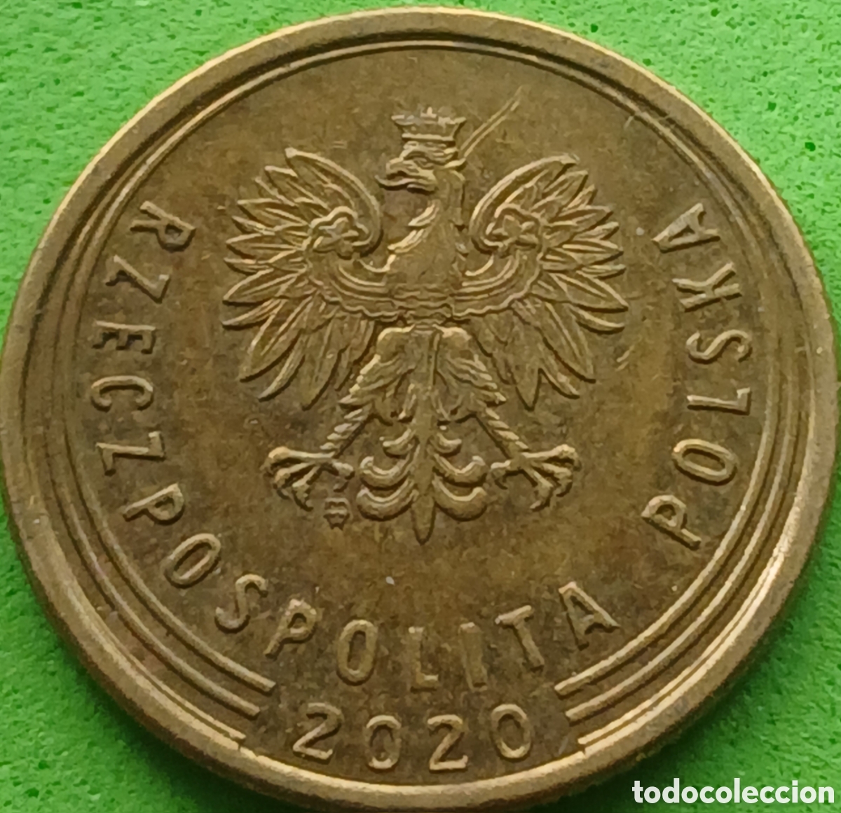 Monedas antiguas de Europa: Polonia 5 groszy 2020 UC#6