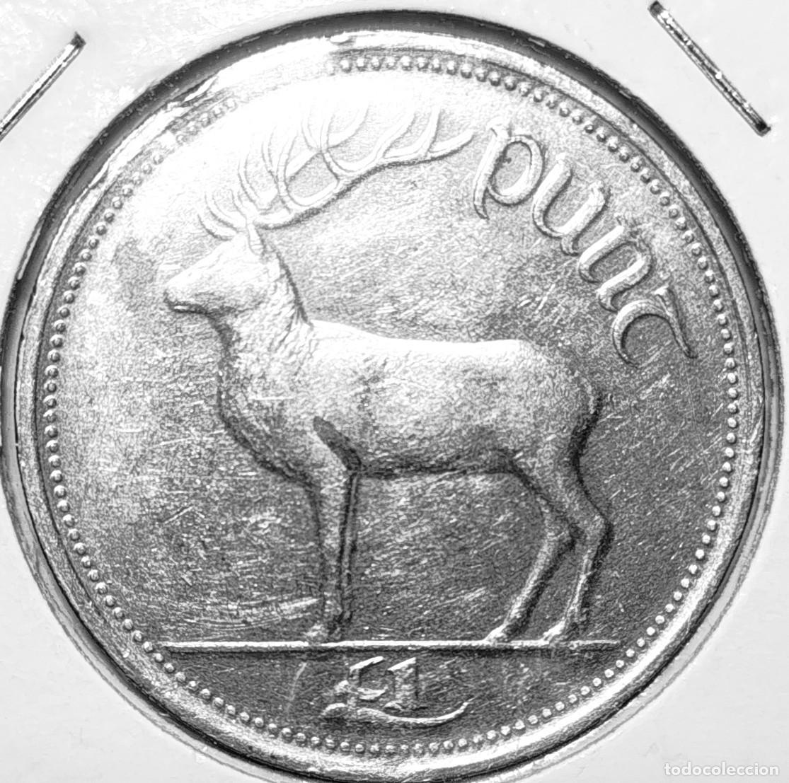 Monedas antiguas de Europa: IRLANDA (1969-2000) - 1 LIBRA 1990 - &Eacute;IRE - B - 10 GR. CUPRONIQUEL - DIAMETRO 31,10 mm - KM#27 - MB