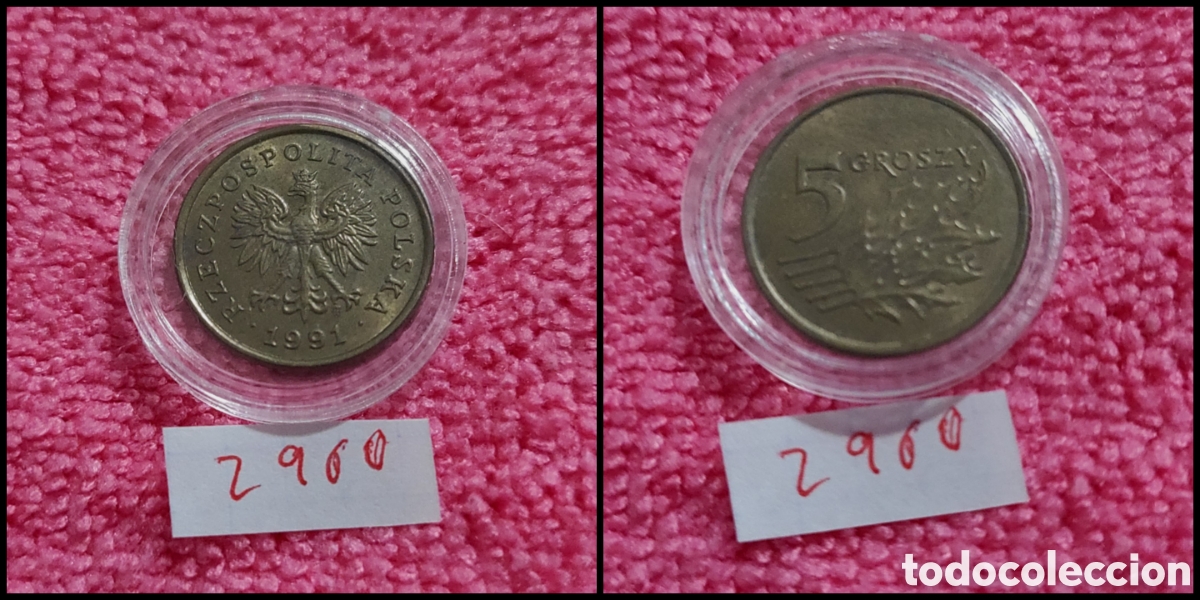 Monedas antiguas de Europa: 5 groszy polacos a&ntilde;o 1991