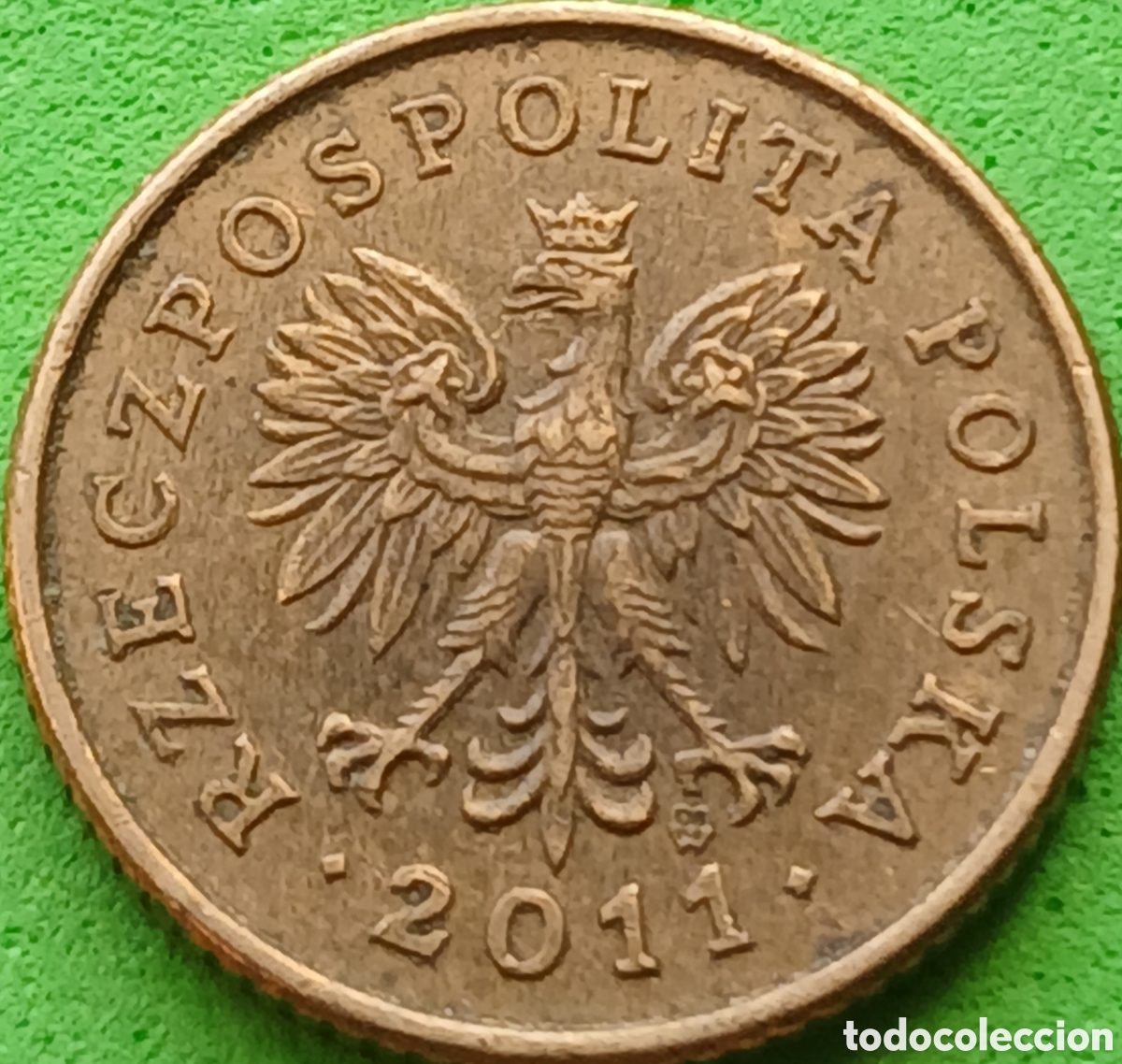 Monedas antiguas de Europa: Polonia 1 grosz 2011 Y#276