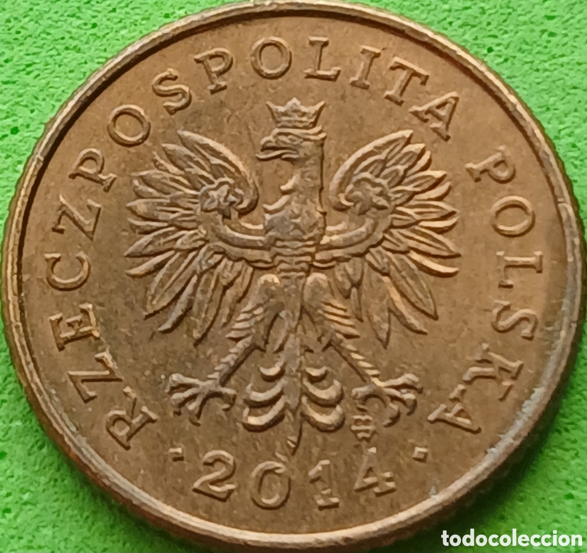 Monedas antiguas de Europa: Polonia 1 grosz 2014 Y#276