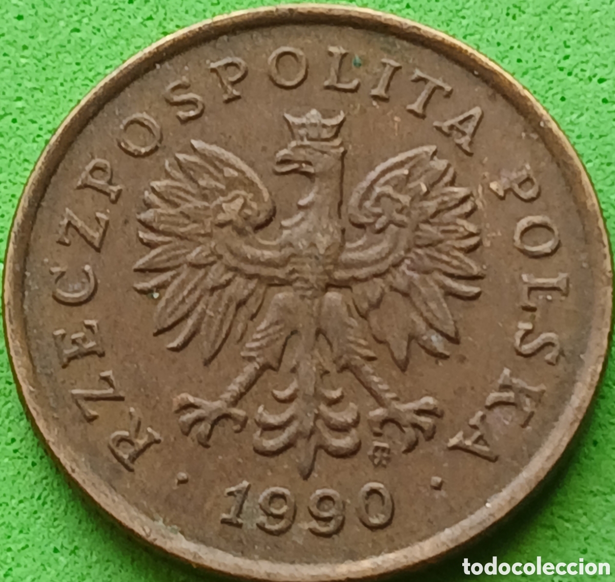 Monedas antiguas de Europa: Polonia 5 groszy 1990 Y#278