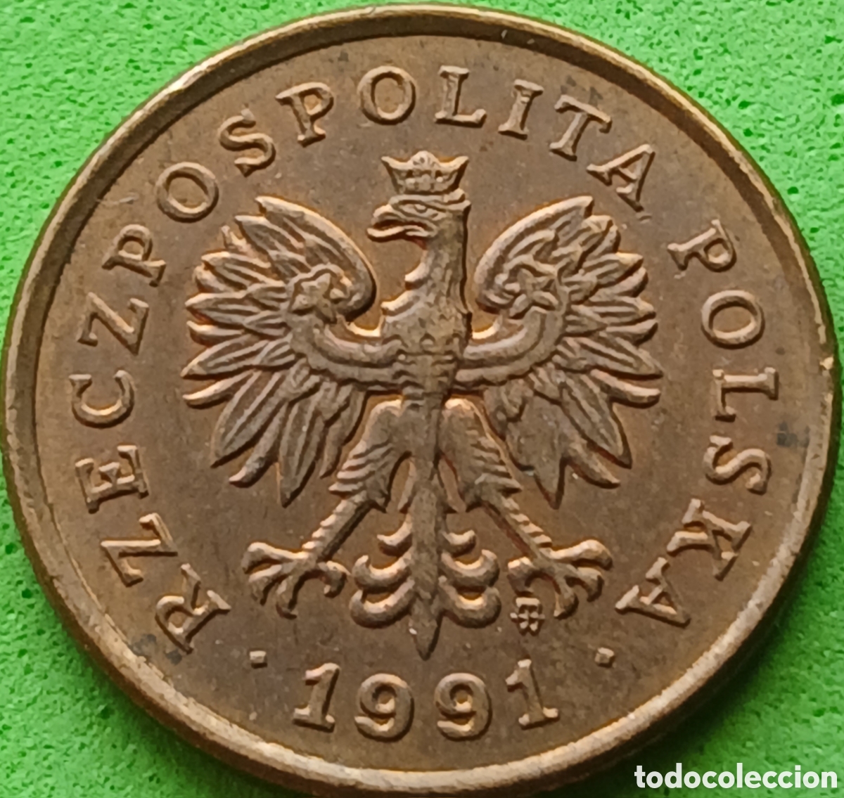 Monedas antiguas de Europa: Polonia 5 groszy 1991 Y#278