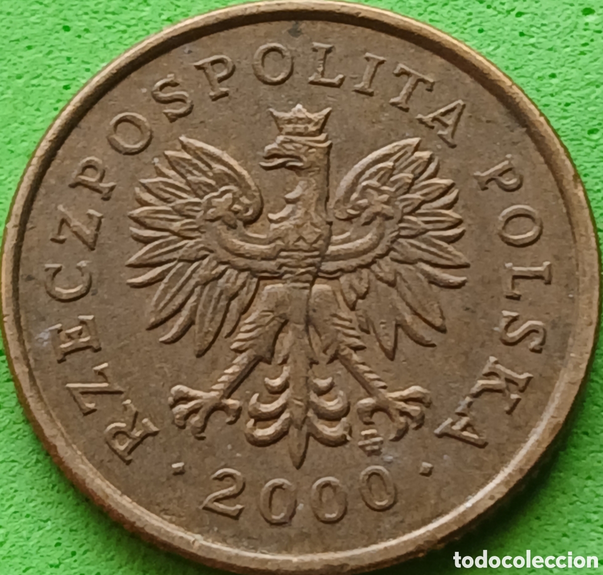 Monedas antiguas de Europa: Polonia 5 groszy 2000 Y#278