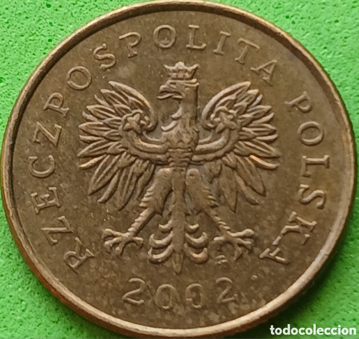 Monedas antiguas de Europa: Polonia 5 groszy 2002 Y#278