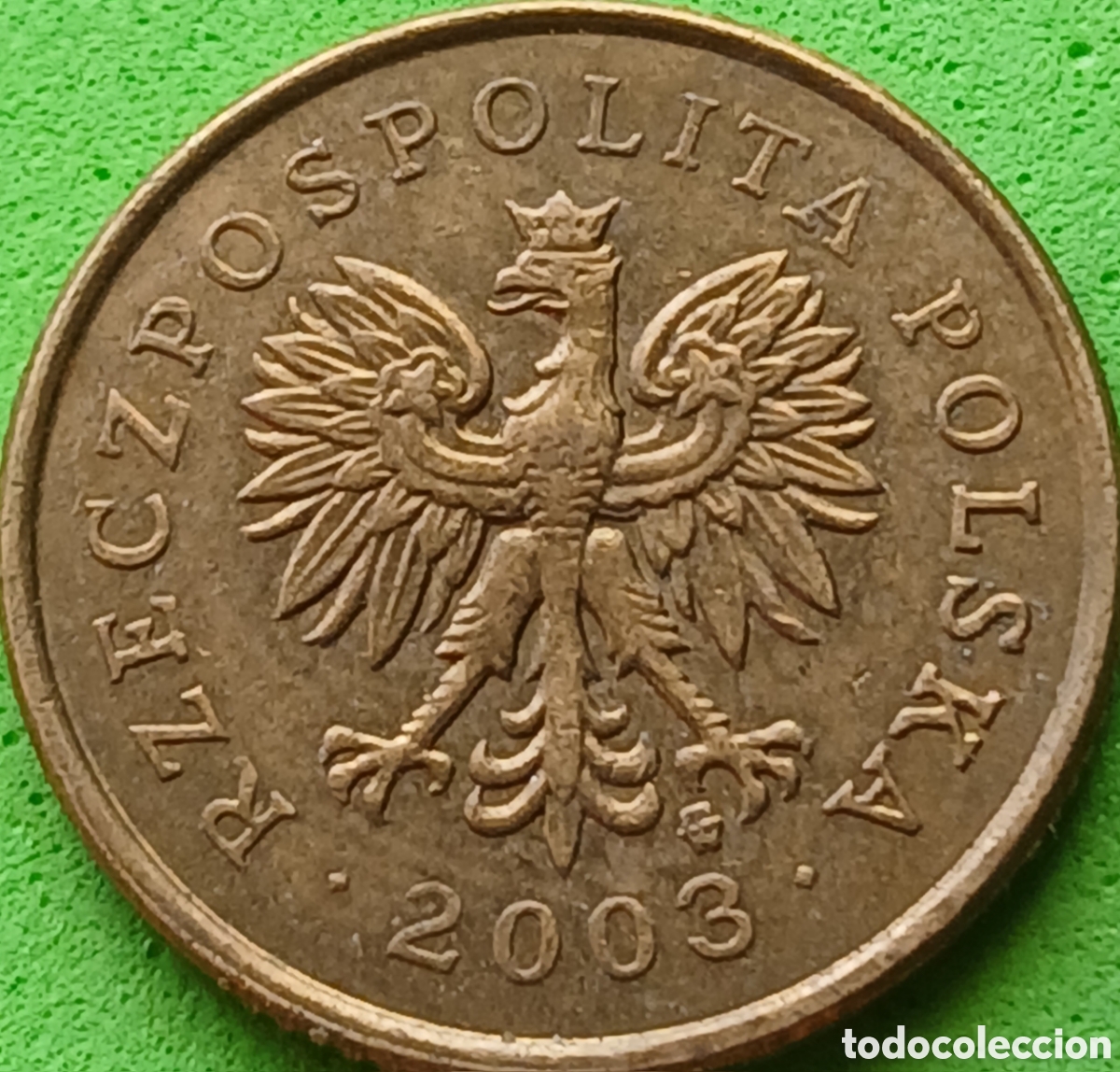 Monedas antiguas de Europa: Polonia 5 groszy 2003 Y#278