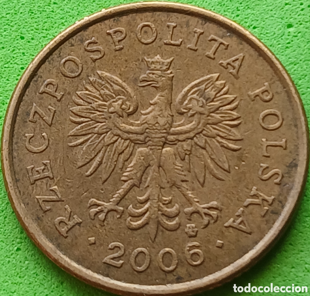 Monedas antiguas de Europa: Polonia 5 groszy 2006 Y#278