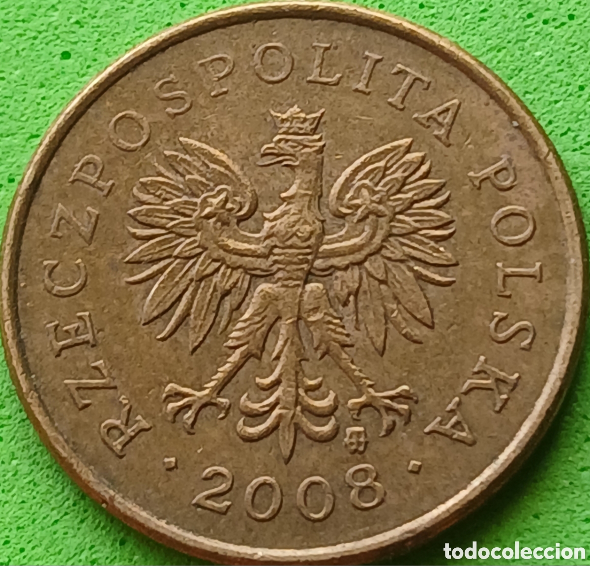 Monedas antiguas de Europa: Polonia 5 groszy 2008 Y#278