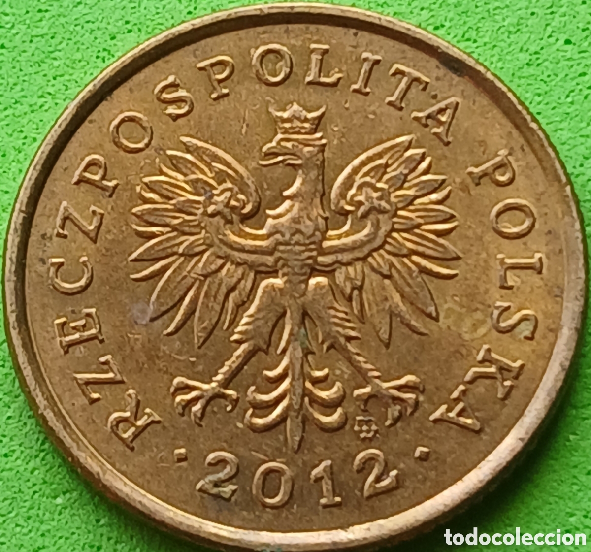 Monedas antiguas de Europa: Polonia 5 groszy 2012 Y#278