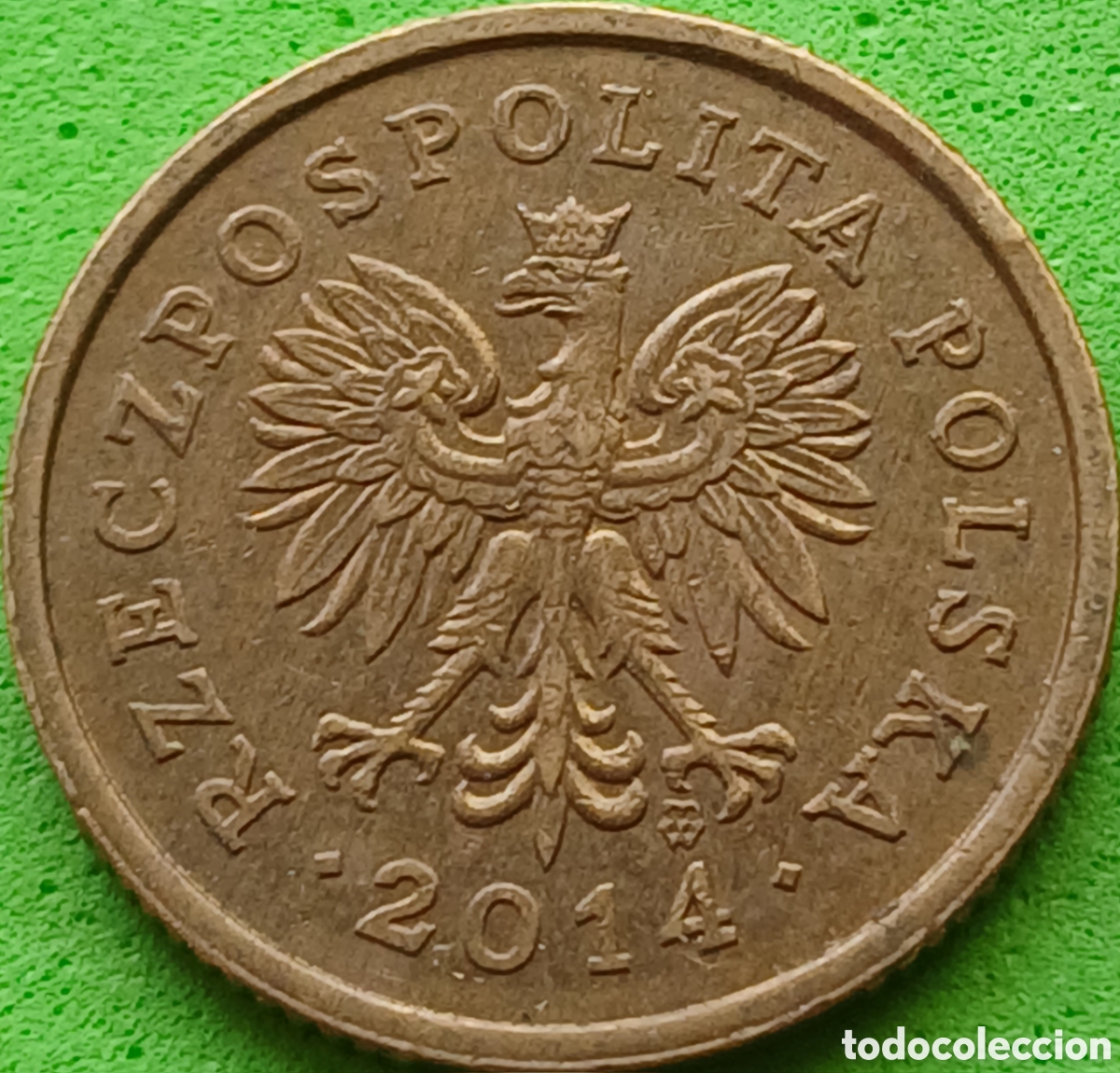 Monedas antiguas de Europa: Polonia 5 groszy 2014 Y#278