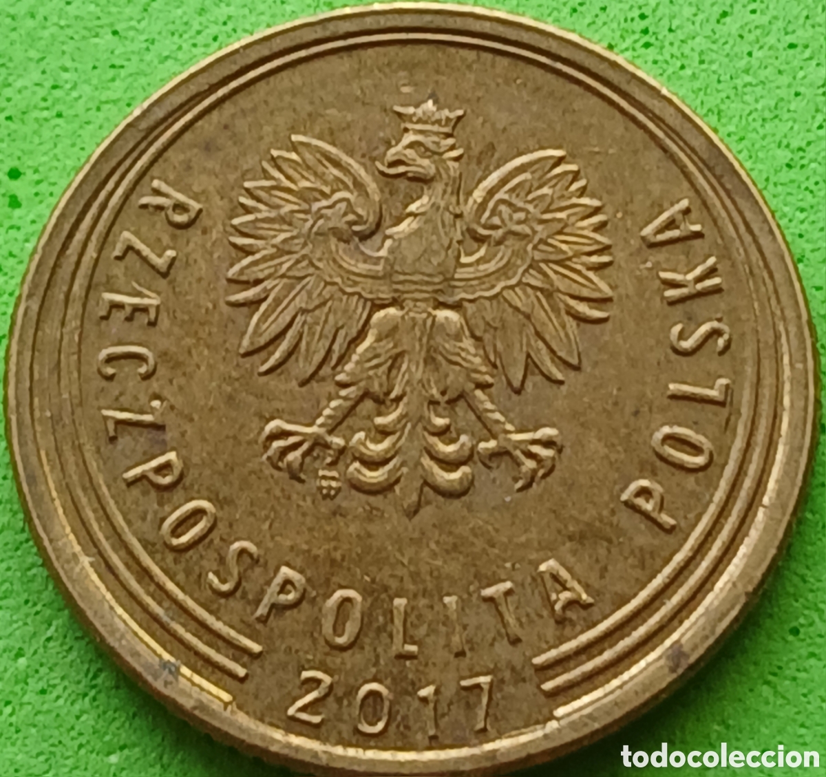 Monedas antiguas de Europa: Polonia 5 groszy 2017 UC#6