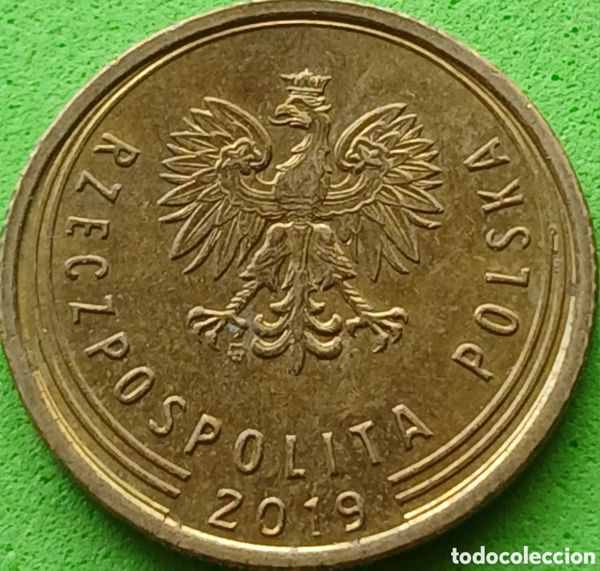 Monedas antiguas de Europa: Polonia 5 groszy 2019 UC#6