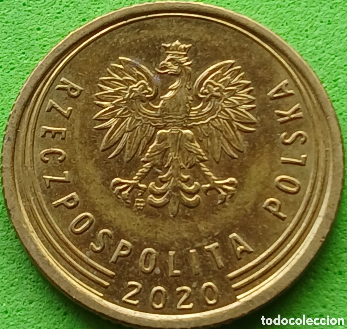 Monedas antiguas de Europa: Polonia 5 groszy 2020 UC#6