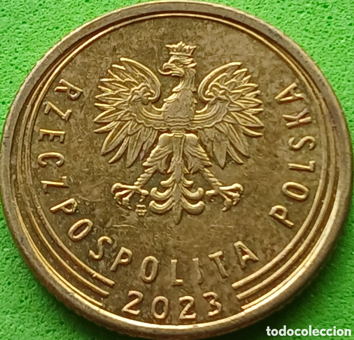 Monedas antiguas de Europa: Polonia 5 groszy 2023 UC#6