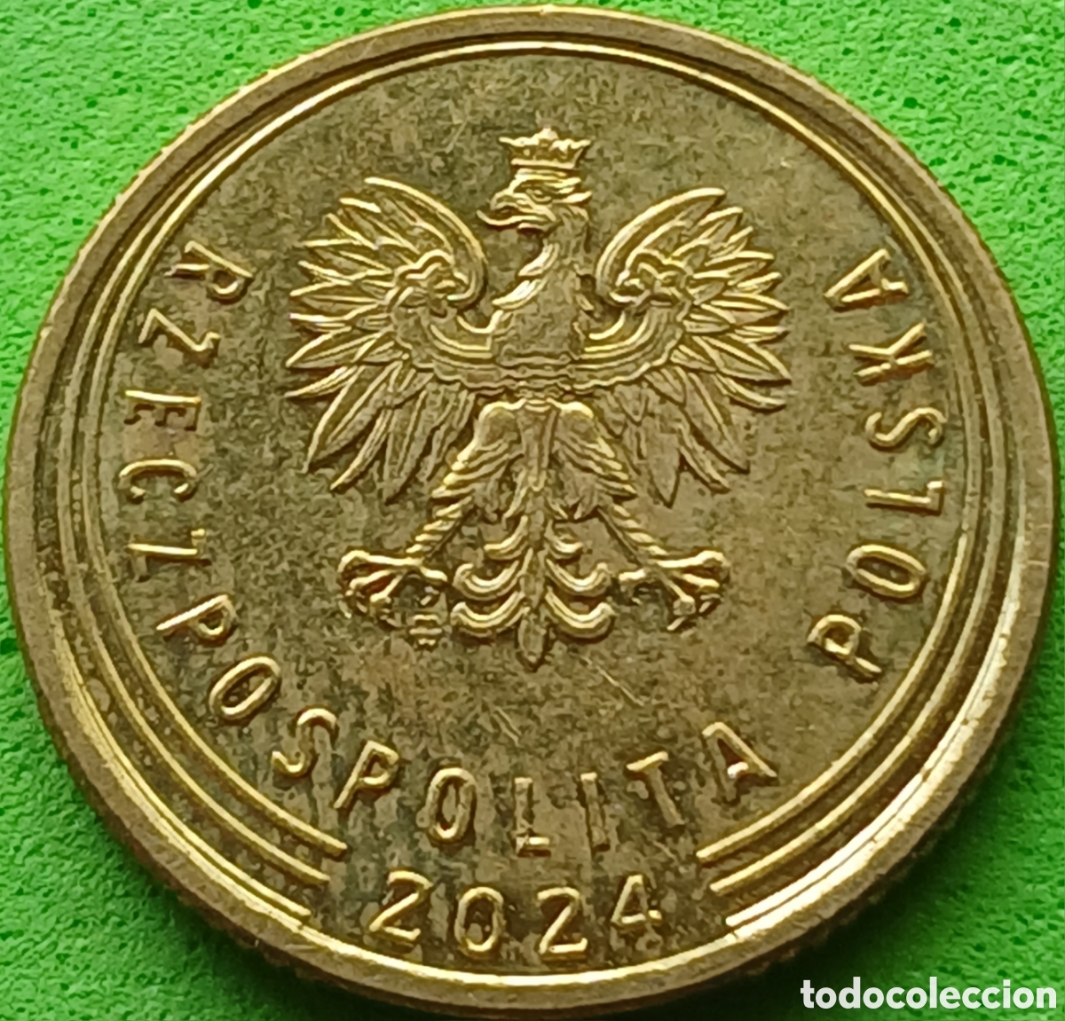 Monedas antiguas de Europa: Polonia 5 groszy 2024 UC#6