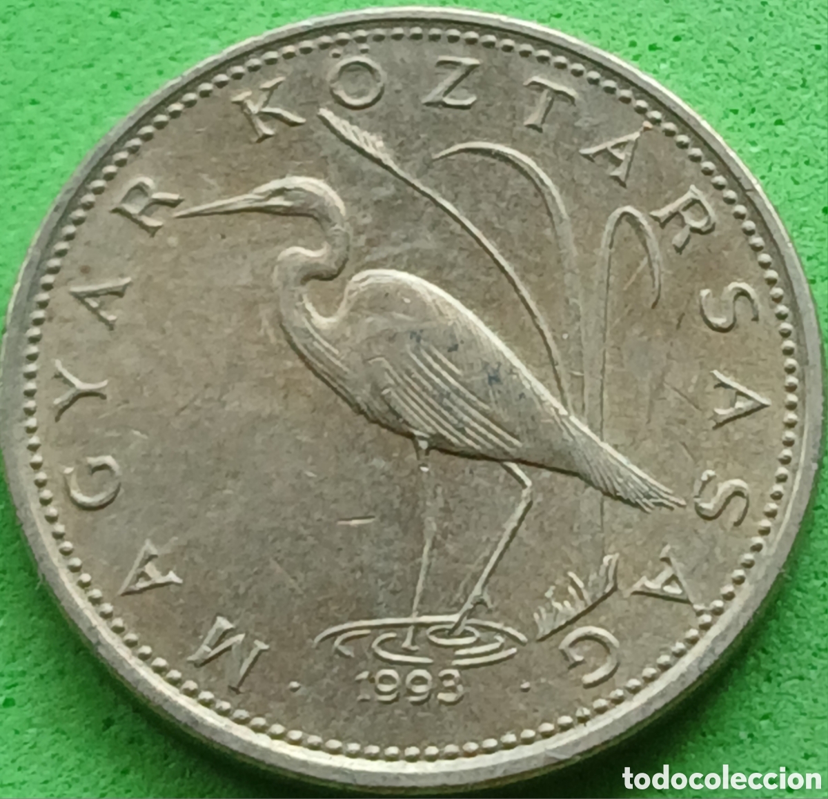 Monedas antiguas de Europa: Hungr&iacute;a 5 forint 1993 km#694