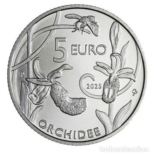 Monedas antiguas de Europa: SAN MARINO 5 euros plata 2025 Orquidia Silvestre
