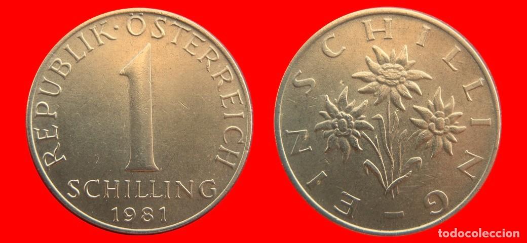 Monedas antiguas de Europa: 1 CHELIN SCHILLING 1981 AUSTRIA-155899