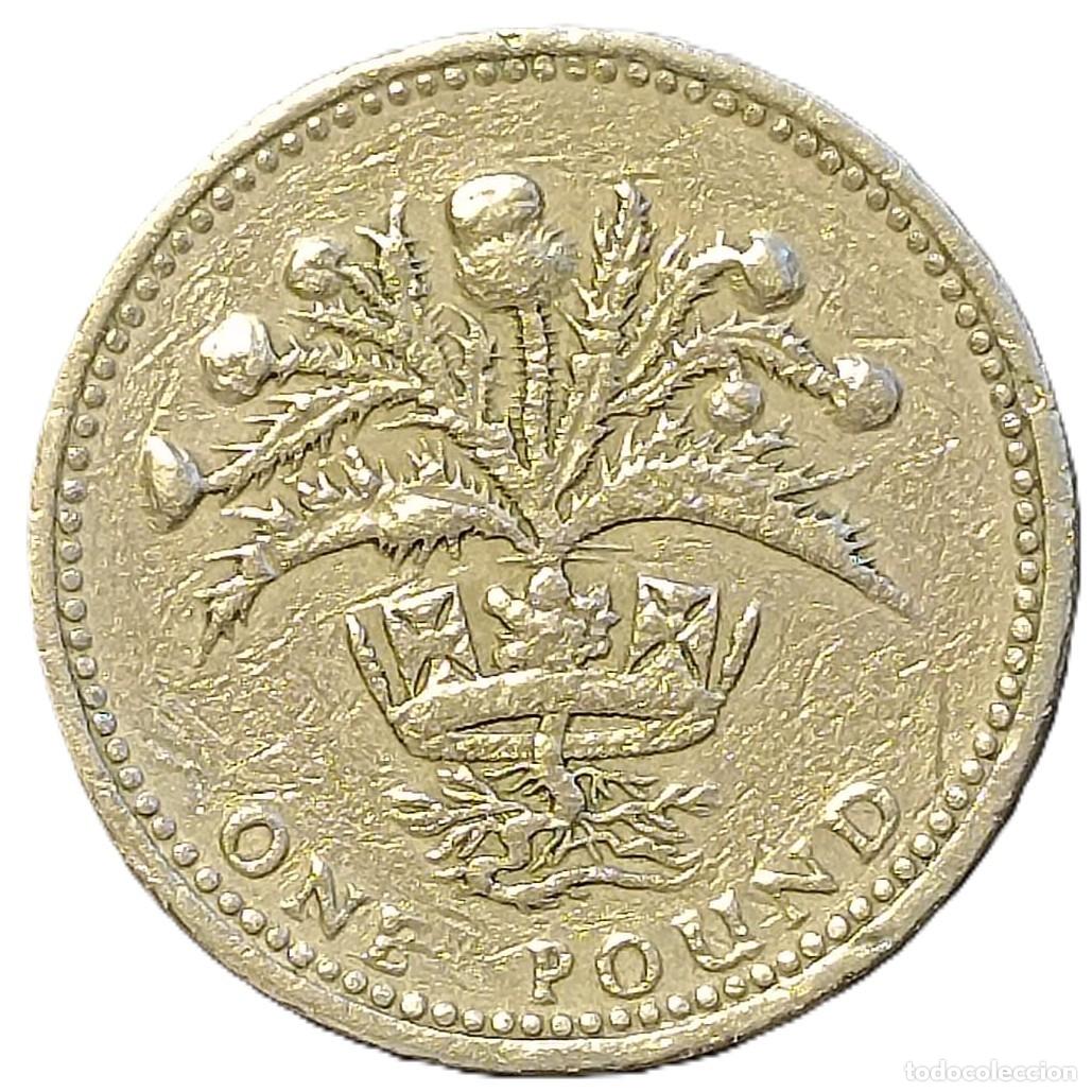 Monedas antiguas de Europa: REINO UNIDO (INGLATERRA) 1 LIBRA -1989- KM#959. CIRCULADA (BC). 3er RETRATO. REVERSO: Cardo Escoc&eacute;s