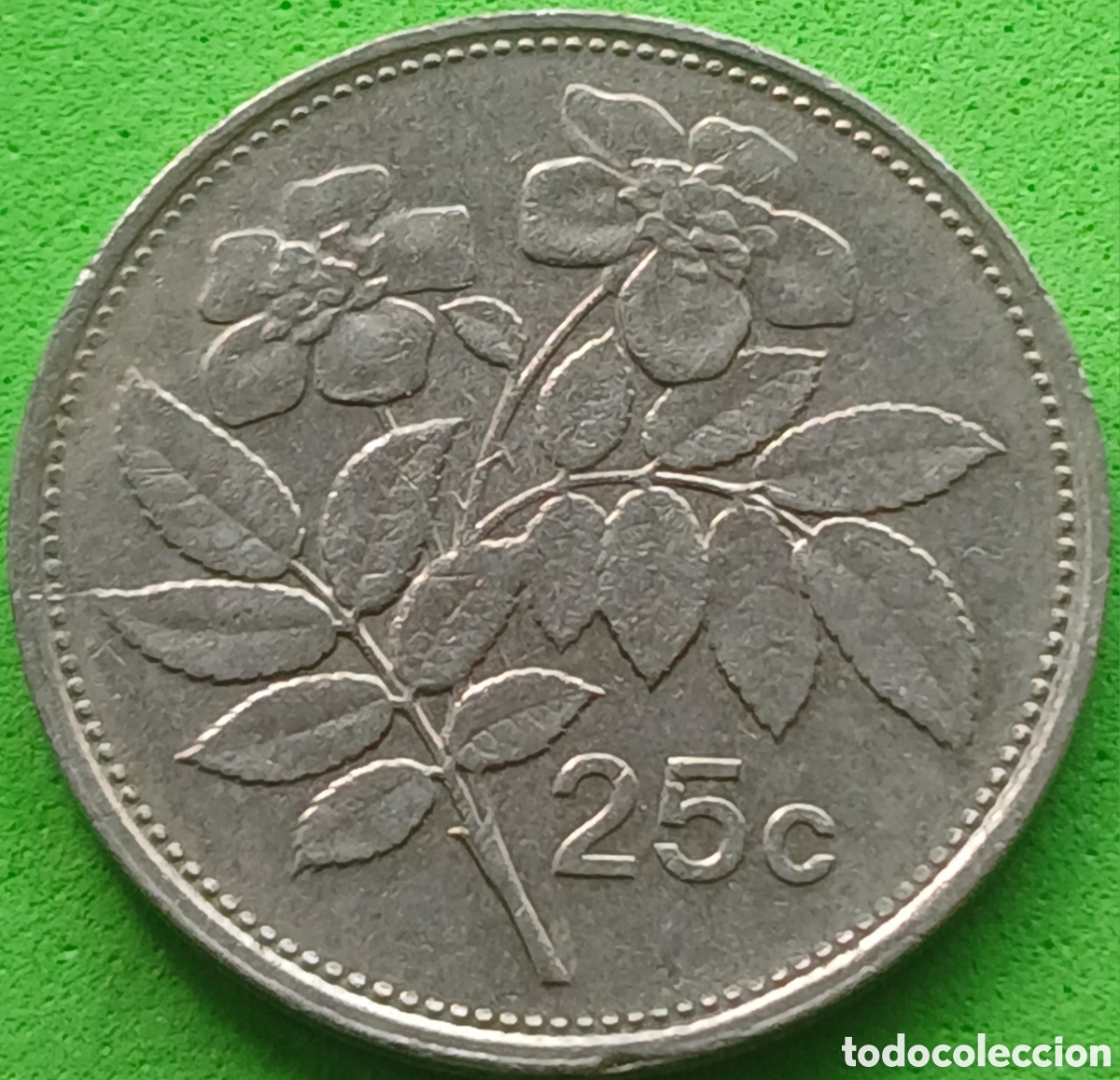 Monedas antiguas de Europa: Malta 25 cents 1993 km#97