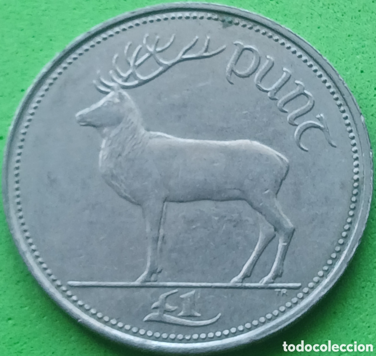 Old Coins of Europe: Irlanda 1 libra 1990 km#27