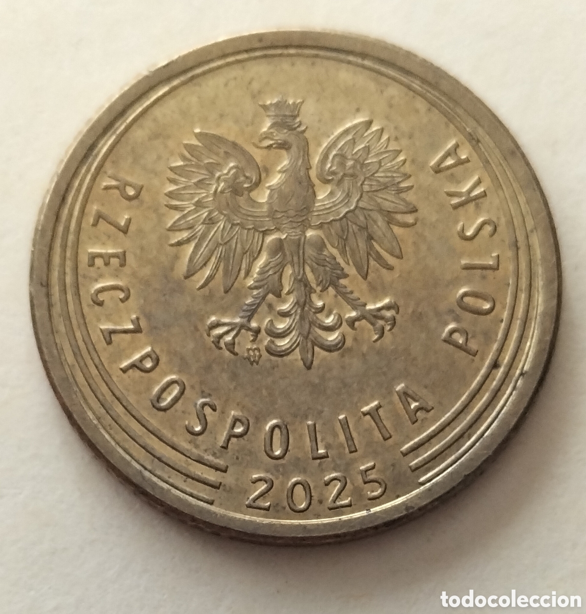 Monedas antiguas de Europa: Moneda 5 groszy 2025 Polonia