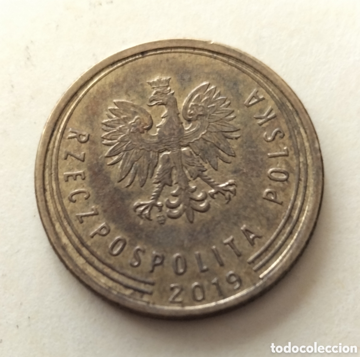 Monedas antiguas de Europa: Moneda 5 groszy 2019 Polonia