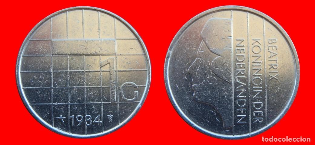 Monedas antiguas de Europa: 1 GULDEN 1984 HOLANDA PAISES BAJOS-156515