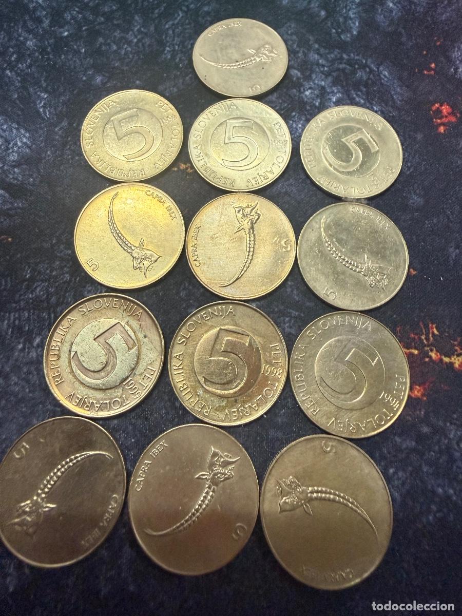 Monedas antiguas de Europa: Lote 53 | 13 monedas Eslovenia 5 t&oacute;lares &ndash; Cabra mont&eacute;s