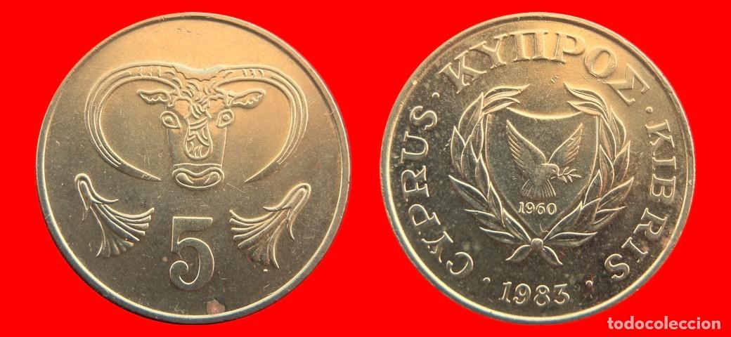 Monete antiche di Europa: 5 CENTIMOS 1983 CHIPRE-156617