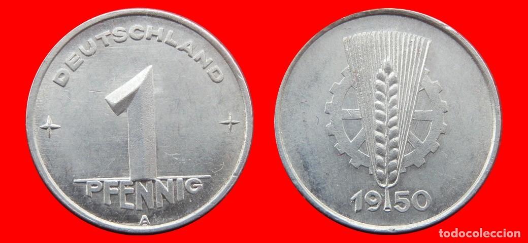 Monnaies anciennes de Europe: 1 PFENNIG 1950A ALEMANIA REPUBLICA DEMOCRATICA DDR-156760