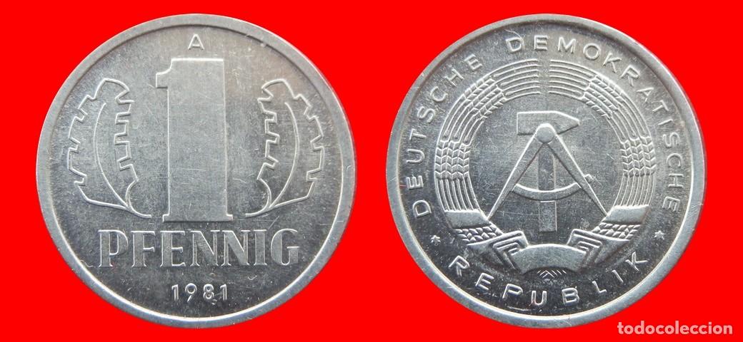 Monnaies anciennes de Europe: 1 PFENNIG 1981A ALEMANIA REPUBLICA DEMOCRATICA DDR-156768