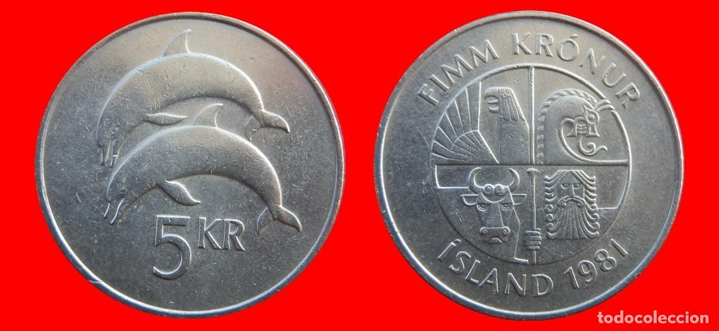 Monedas antiguas de Europa: 5 CORONAS 1981 ISLANDIA-157059