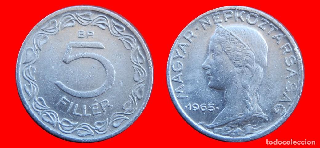 Monedas antiguas de Europa: 5 FILLER 1965 HUNGRIA-157071