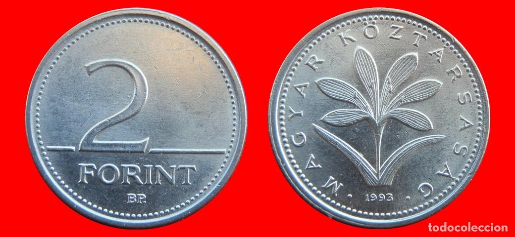 Monedas antiguas de Europa: 2 FLORINES FORINT 1993 HUNGRIA-157073