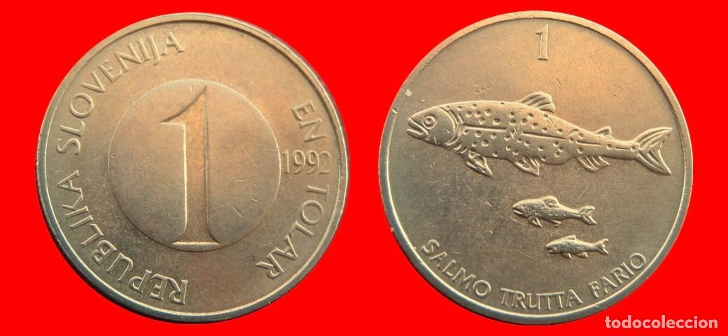 Monedas antiguas de Europa: 1 TOLAR 1992 ESLOVENIA SLOVENIA-157080