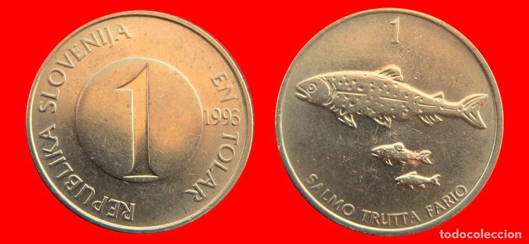 Monedas antiguas de Europa: 1 TOLAR 1993 ESLOVENIA SLOVENIA-157081