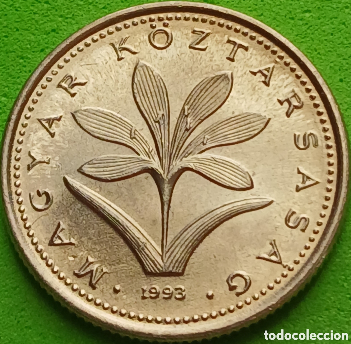 Monedas antiguas de Europa: Hungr&iacute;a 2 forint 1993 km#693