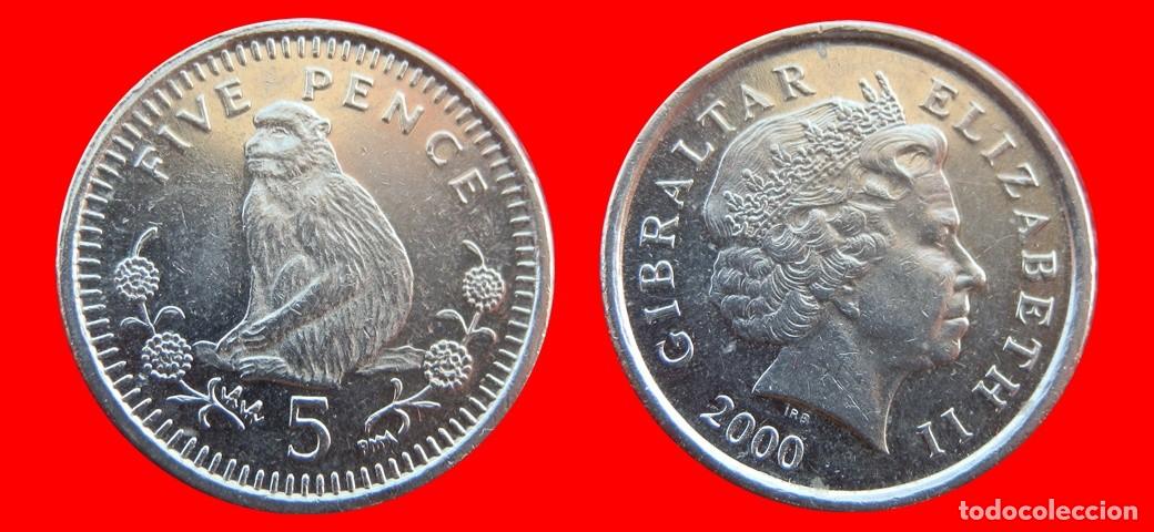 Monedas antiguas de Europa: 5 PENIQUES PENCE 2000 GIBRALTAR-157191