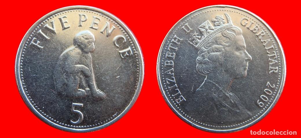 Monedas antiguas de Europa: 5 PENIQUES PENCE 2009 GIBRALTAR-157193