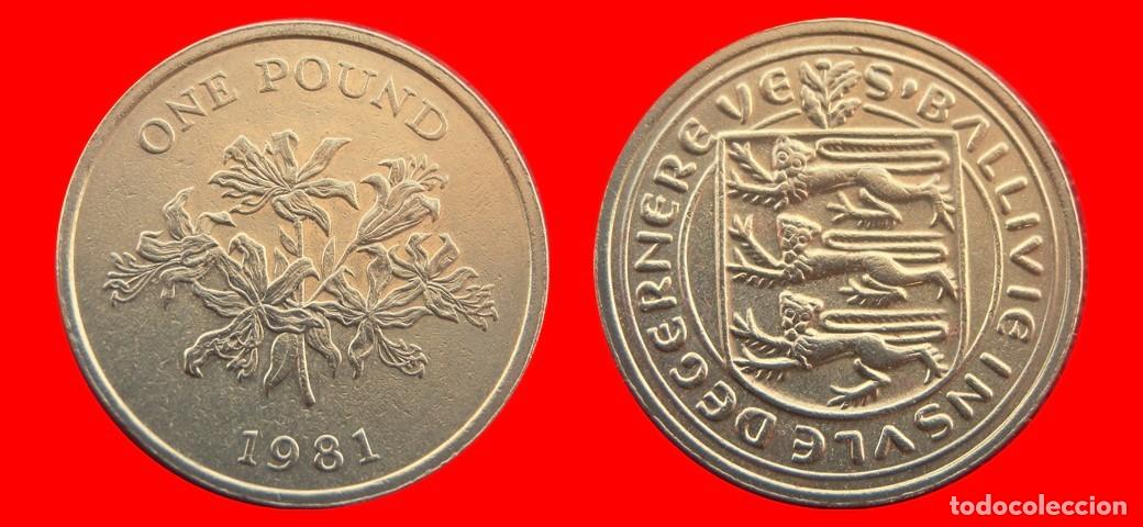 Monedas antiguas de Europa: 1 LIBRA POUND 1981 GUERNESEY-157242